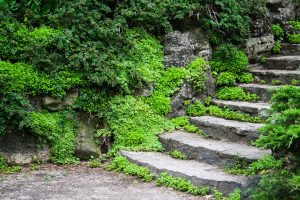 Landscaping Design - Architectural Stairway