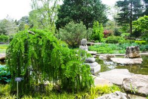 Landscaping Design - Pond Statue