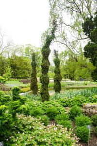Landscaping - 3 Trees