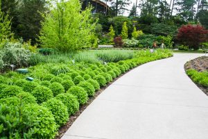 Landscaping Design - Garden