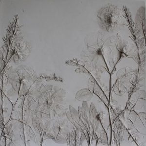 Landscaping Design - Rachel Dein Flower Closeup