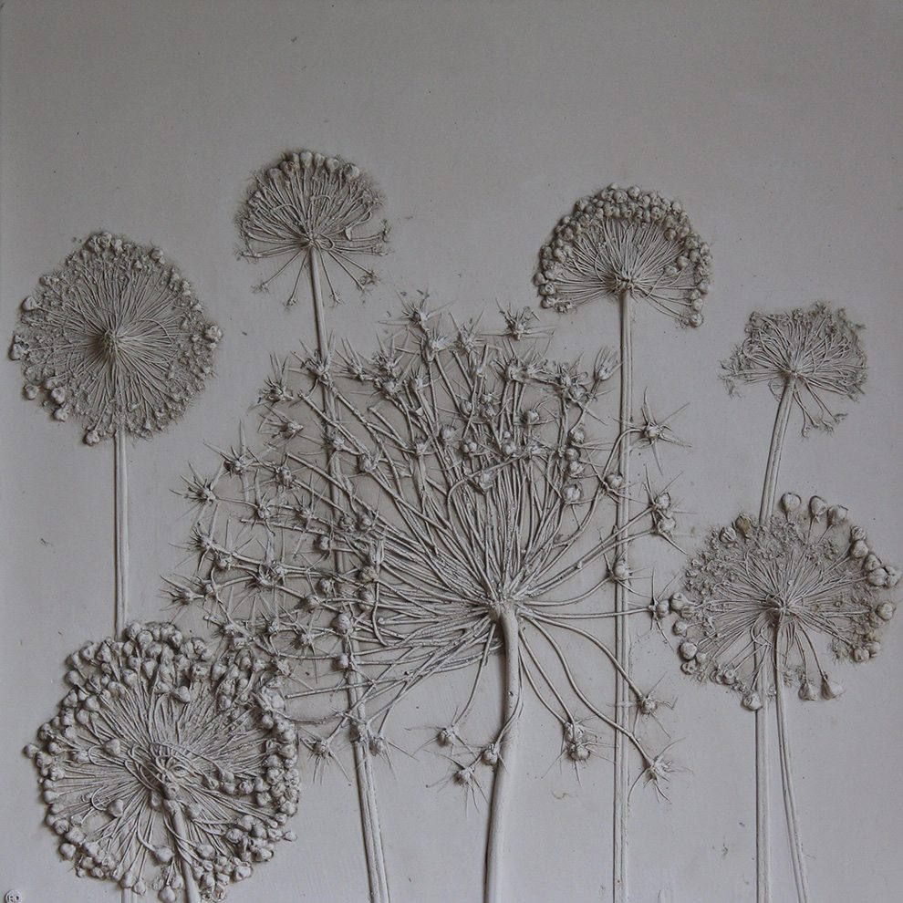 Rachel Dein – Botanical Artist Extraordinare
