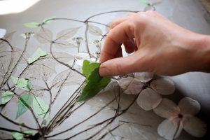 Landscaping Design - Rachel Dein Art