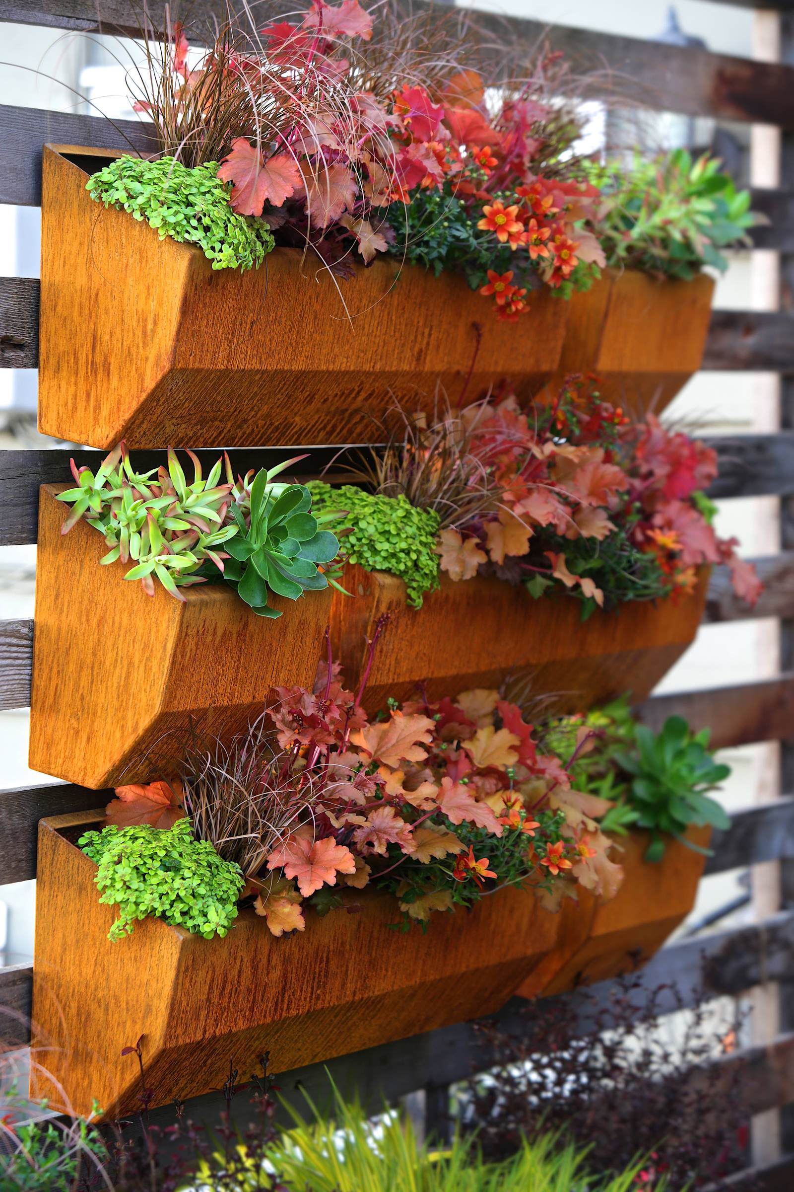 Leo Wall Planters – Living Wall System