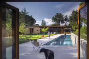 Modern California Landscape with rectantuglar pool and slab pavers.