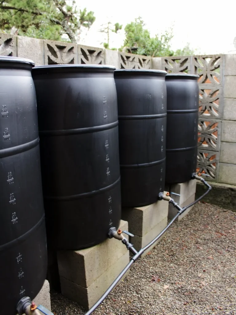 Rain Barrels